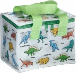 Kleine Lunch/sixpack Koeltas - Dinosaurus Print - 21 X 16 Cm - 4,7 L -Buiten Kamperen 1200x1140