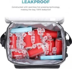 Lifewit 20L Koeltas | 20 Liter | Opvouwbaar | Koelbox-Koeltas | Isolatietas/ Picknicktas Voor Levensmiddelen / Grijs -Buiten Kamperen 1200x1153 2