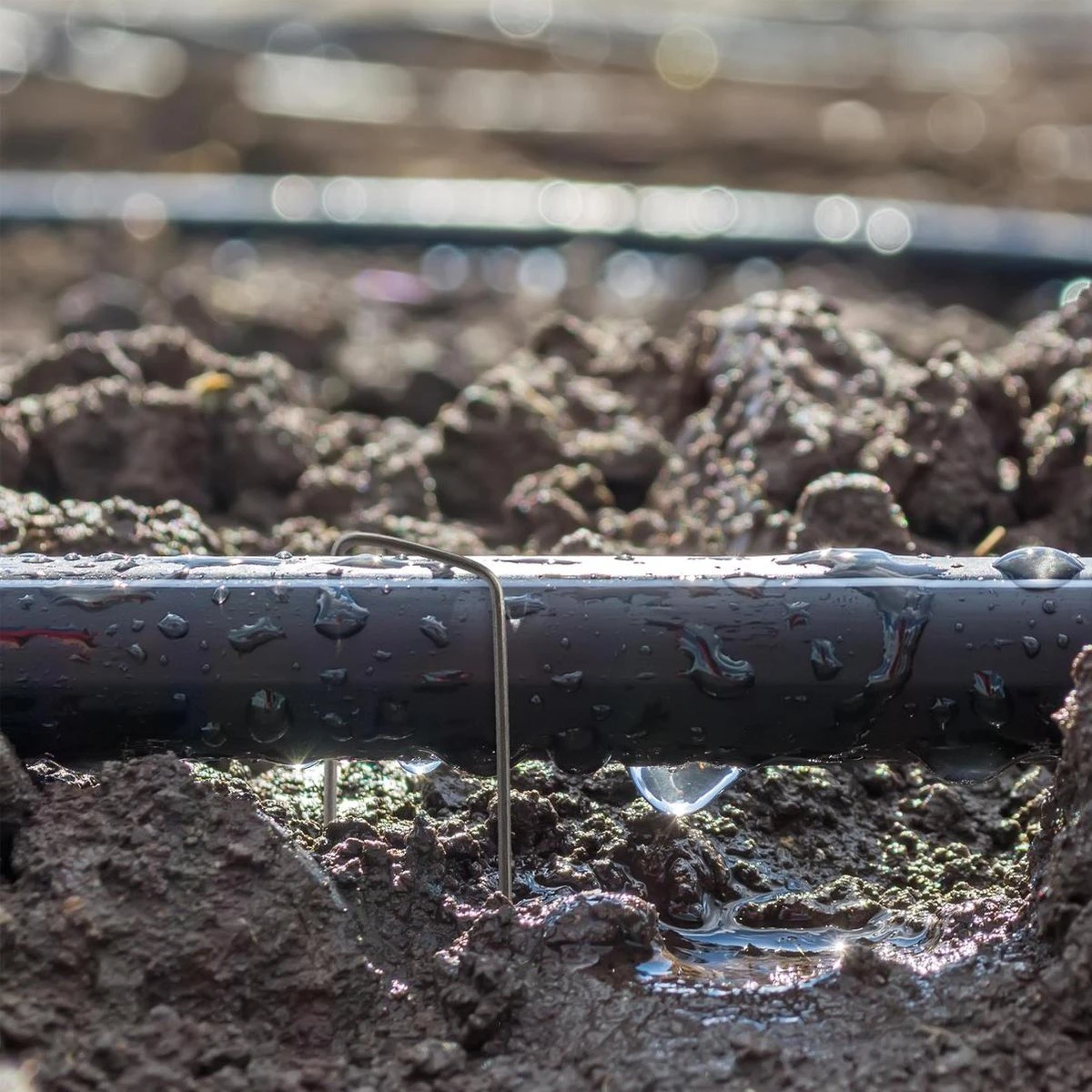 Relaxdays 200x Gronddoekpen - Grondanker - Haring - Gronddoekhaak - Grondhaken - 2mm 4 Relaxdays 200x Gronddoekpen - Grondanker - Haring - Gronddoekhaak - Grondhaken - 2mm - Afbeelding 2