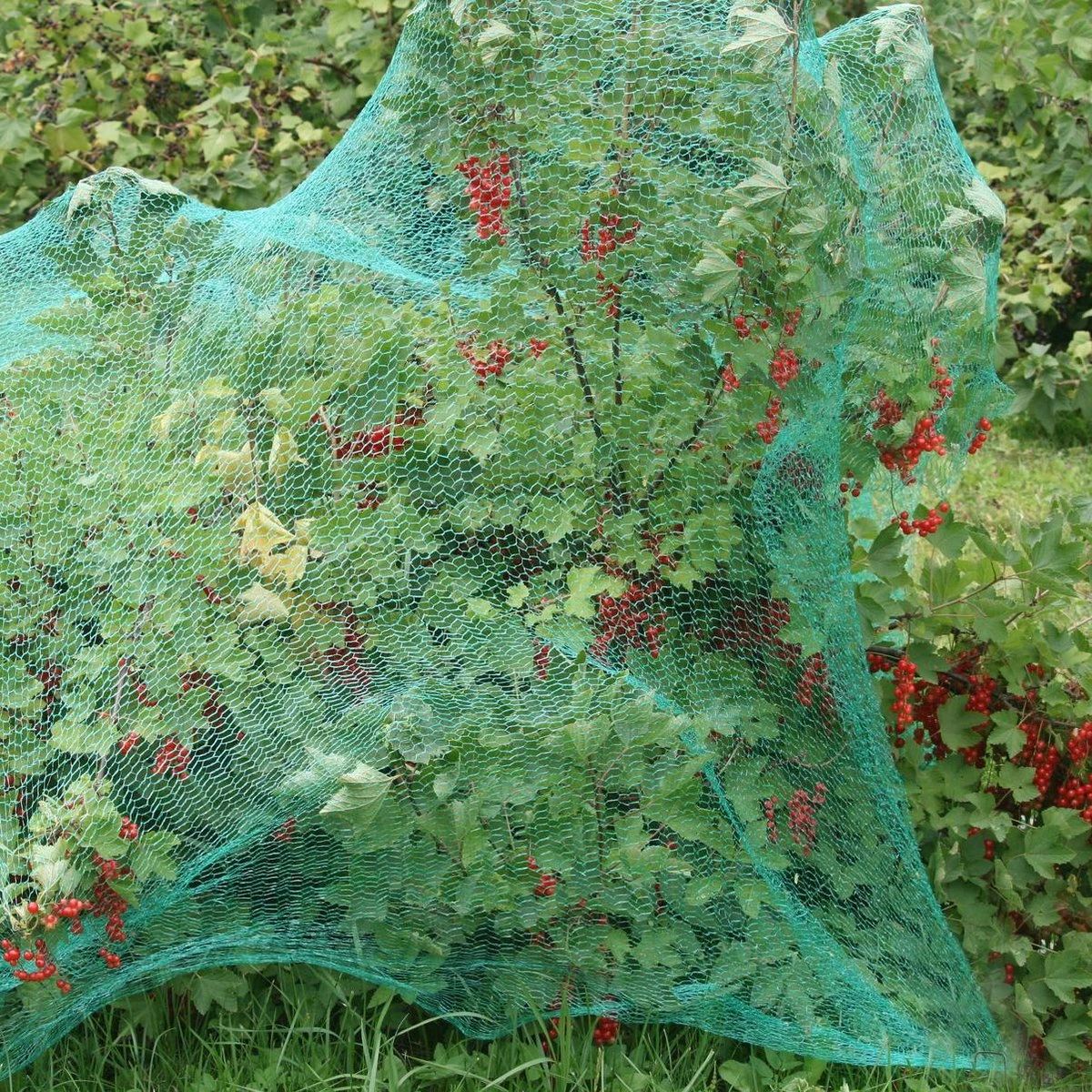 Relaxdays 200x Gronddoekpen - Grondanker - Haring - Gronddoekhaak - Grondhaken - 2mm 5 Relaxdays 200x Gronddoekpen - Grondanker - Haring - Gronddoekhaak - Grondhaken - 2mm - Afbeelding 3