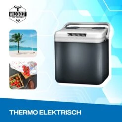 Koelbox Met ECO Modus Voor Auto & Camping Warm En Koud 32L - Frigobox Elektrisch 32 Liter Met 12v 230 Volt - Verkoelt En Verwamt - MiniBar - Mini Koelkast -Buiten Kamperen 1200x1200 190