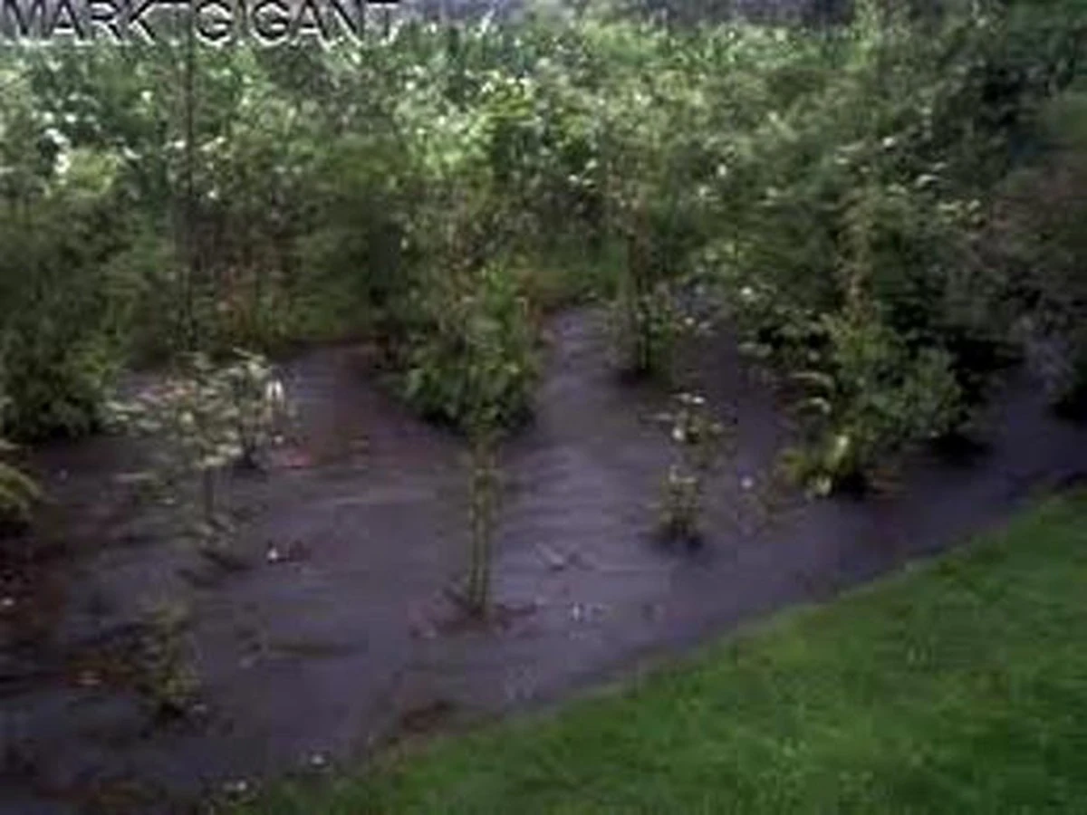 Tentzeil Bescherming , Gronddoek , Anti Worteldoek 8 X 4.80 Mtr / 130 Gr P/m² 4 Tentzeil Bescherming , Gronddoek , Anti Worteldoek 8 X 4.80 Mtr / 130 Gr P/m² - Afbeelding 2